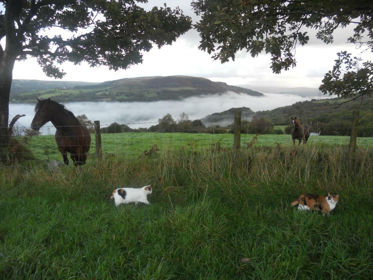1 Tan Yr Eglwys Barn Cottage Pontardawe 外观 照片