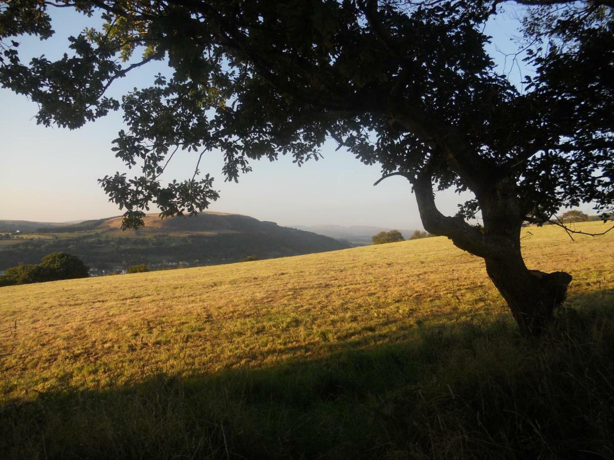 1 Tan Yr Eglwys Barn Cottage Pontardawe 外观 照片